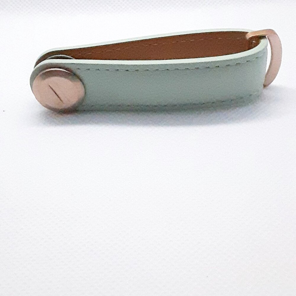 2026 Fall Color ...  2 HOSTS PICKED Mint green leather key holder - Picture 12 of 13